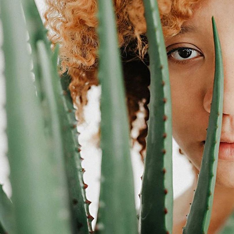 Responsible to nature